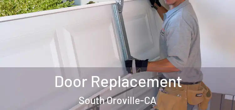  Door Replacement South Oroville-CA